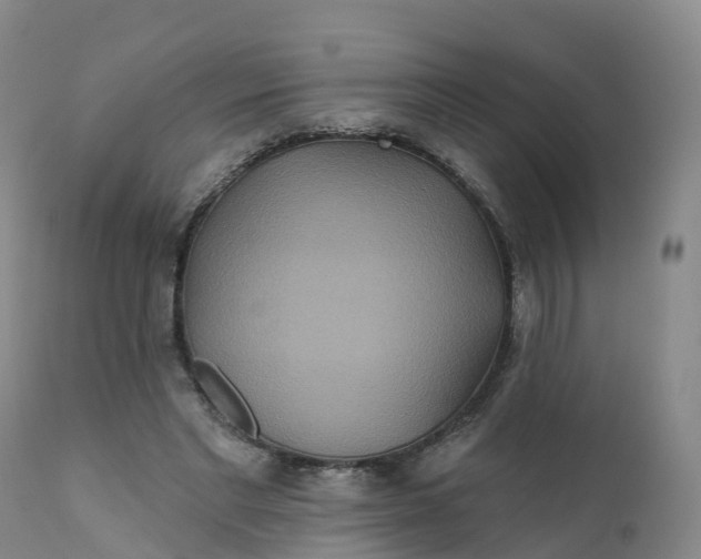 X0000111820493200908131526