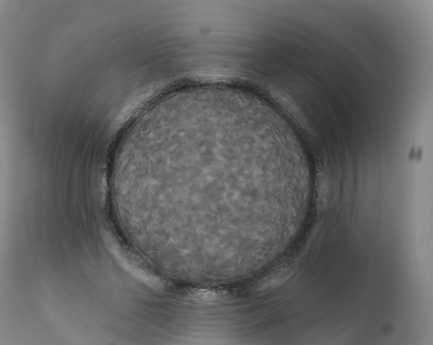 X0000111820494200908131526