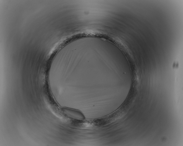 X0000111820496200908131526