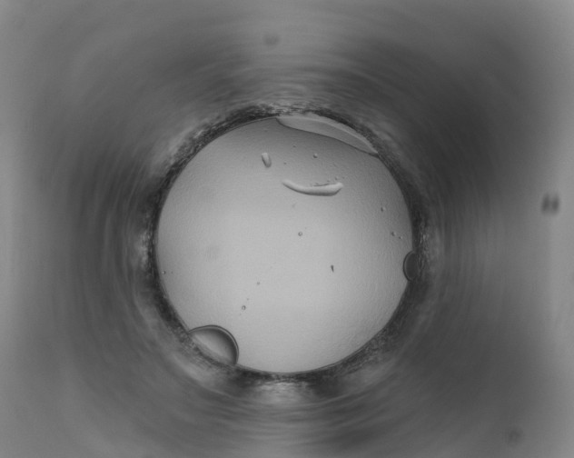 X0000111820499200908131526