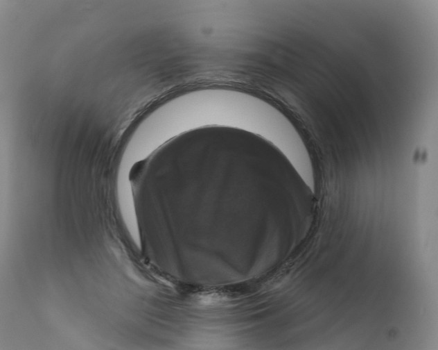 X0000111820500200908131526