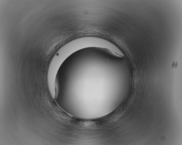 X0000111820501200908131526