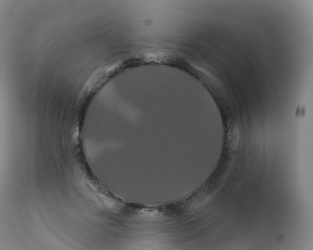 X0000111820502200908131526