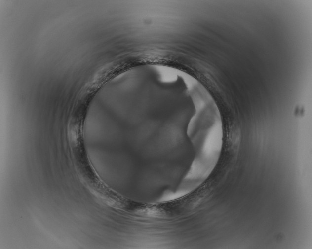 X0000111820503200908131526