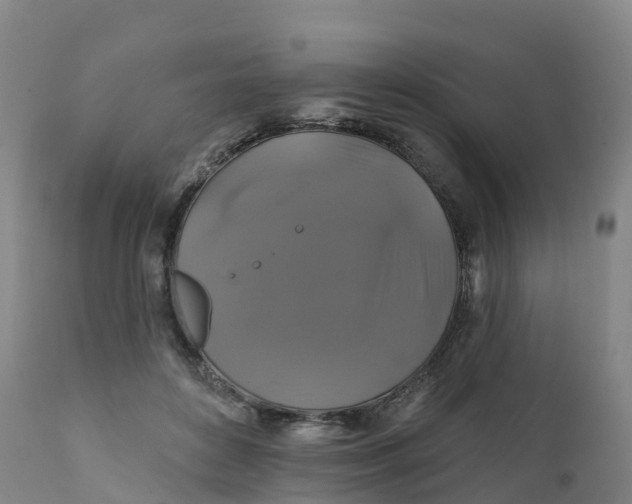 X0000111820504200908131526