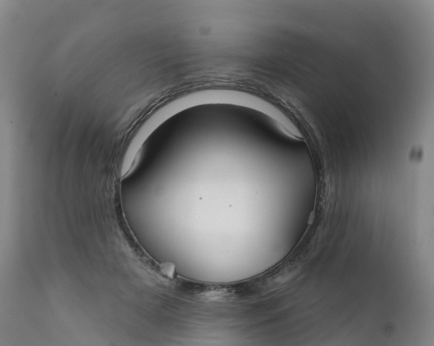 X0000111820505200908131526