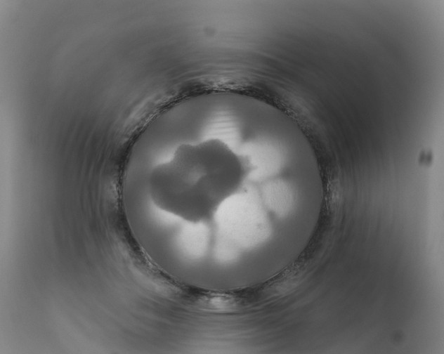 X0000111820506200908131526