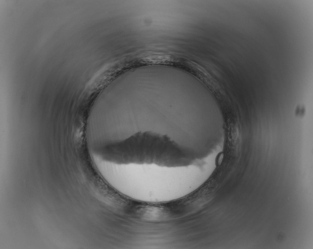 X0000111820507200908131526