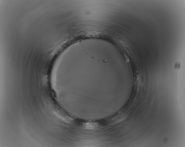 X0000111820508200908131526