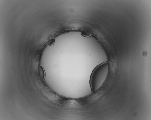 X0000111820509200908131526