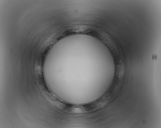 X0000111820510200908131526