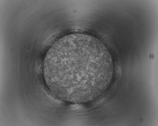 X0000111820511200908131526