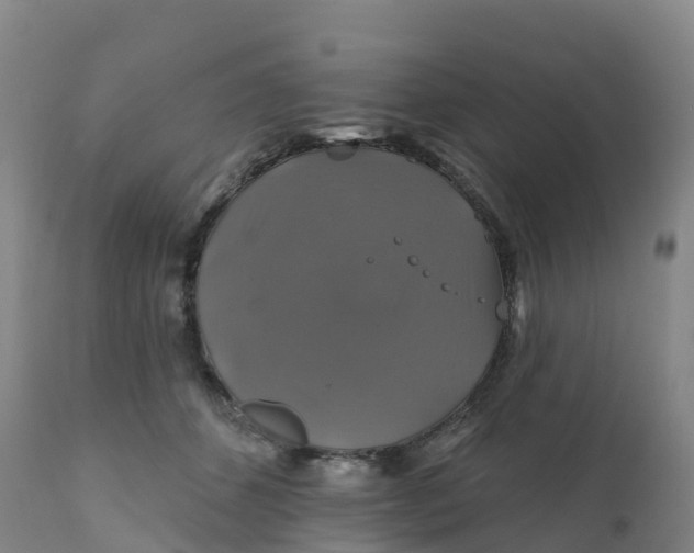 X0000111820512200908131526