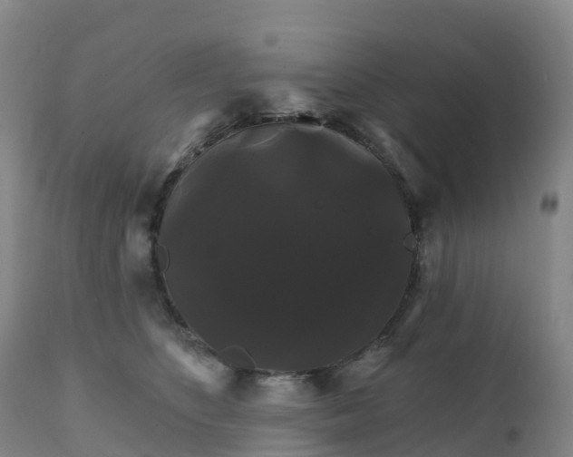 X0000111820516200908131526