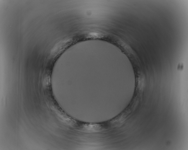 X0000111820517200908131526