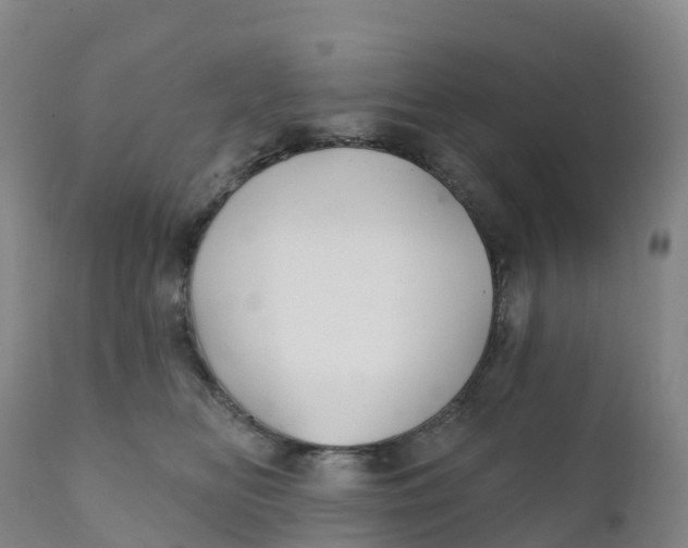 X0000111820518200908131526