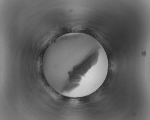 X0000111820519200908131526