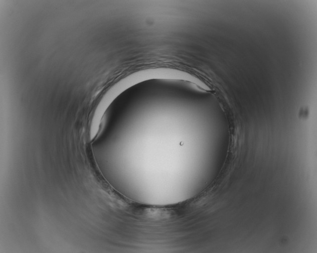 X0000111820520200908131526