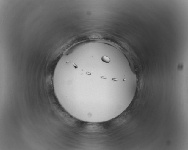 X0000111820521200908131526