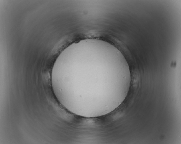 X0000111820523200908131526