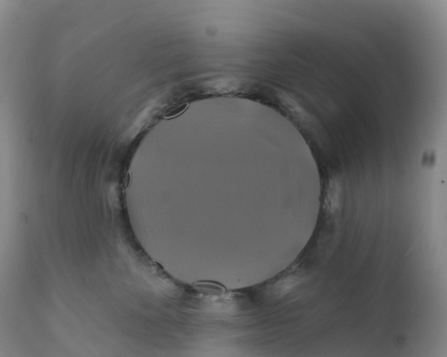 X0000111820524200908131526