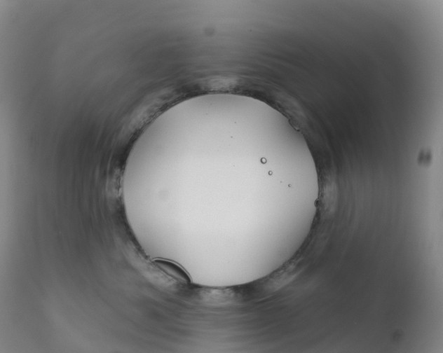 X0000111820525200908131526