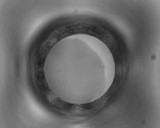 X0000111820526200908131526