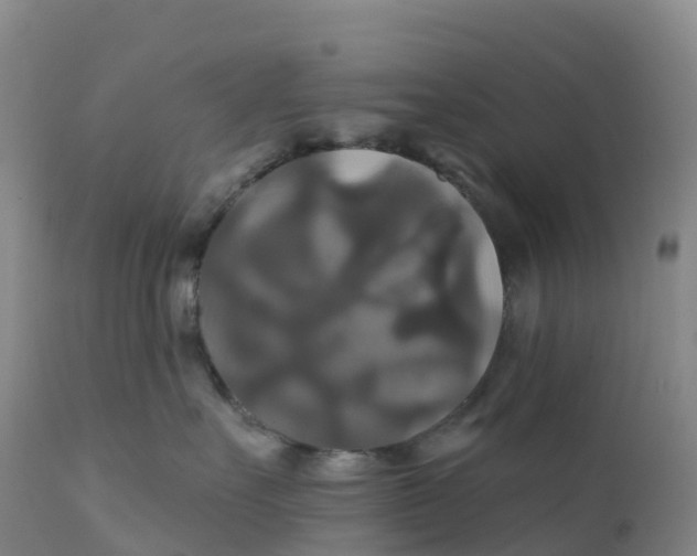 X0000111820527200908131526