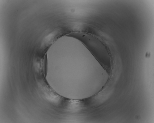 X0000111820528200908131526