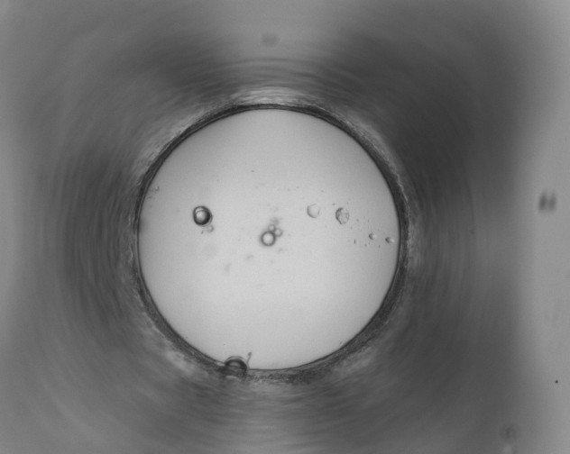 X0000111820529200908131525