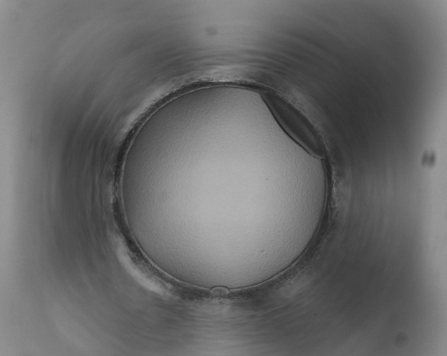 X0000111820530200908131525