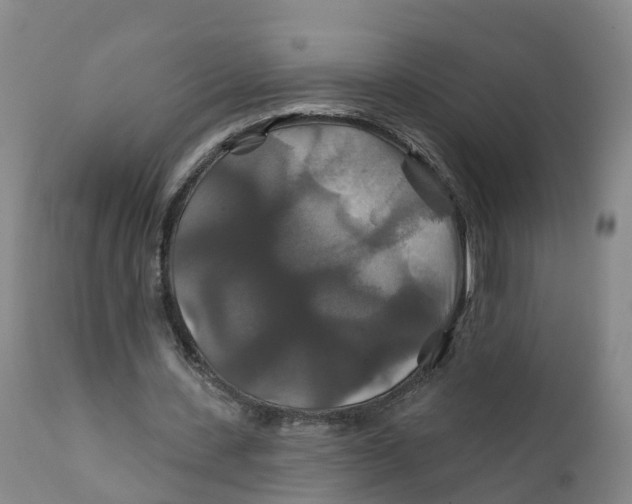 X0000111820531200908131525