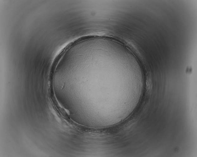 X0000111820532200908131525