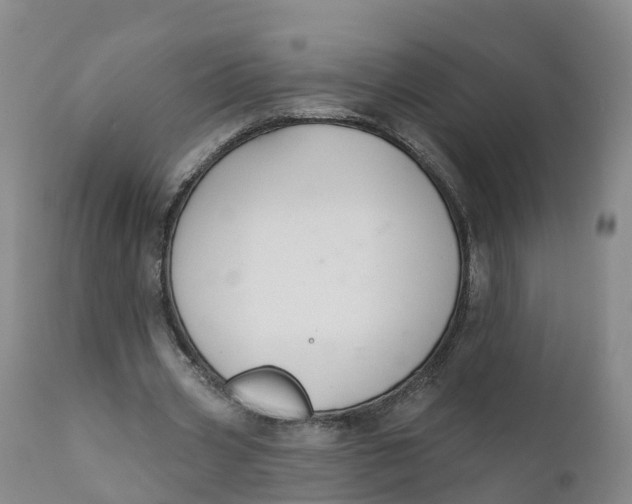 X0000111820533200908131525