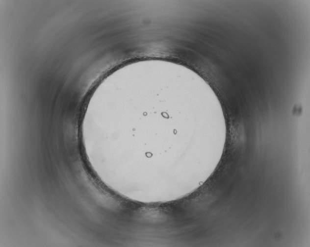 X0000111820534200908131525