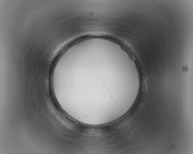 X0000111820535200908131525