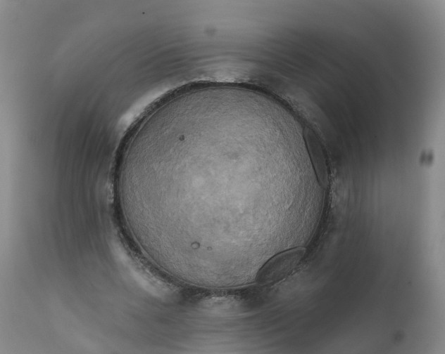 X0000111820536200908131525