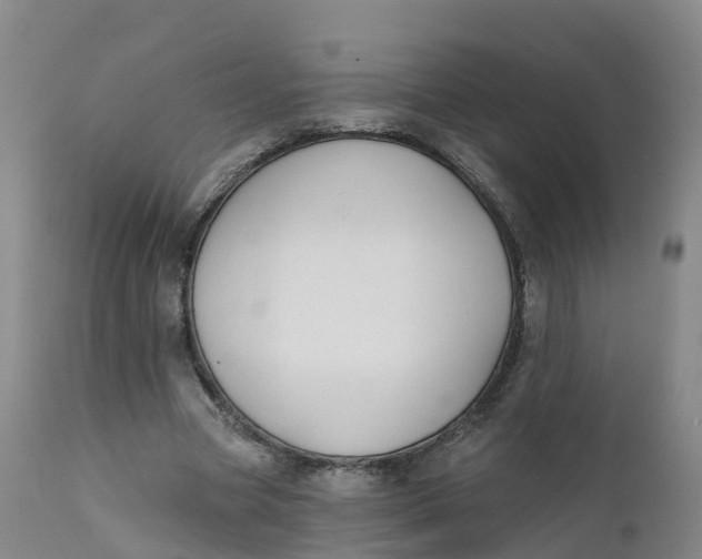 X0000111820537200908131525