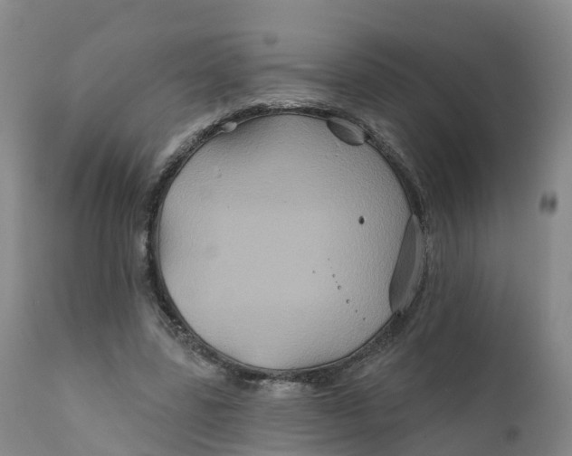 X0000111820539200908131525