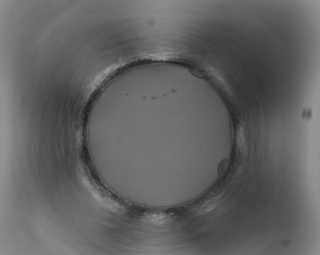 X0000111820540200908131525