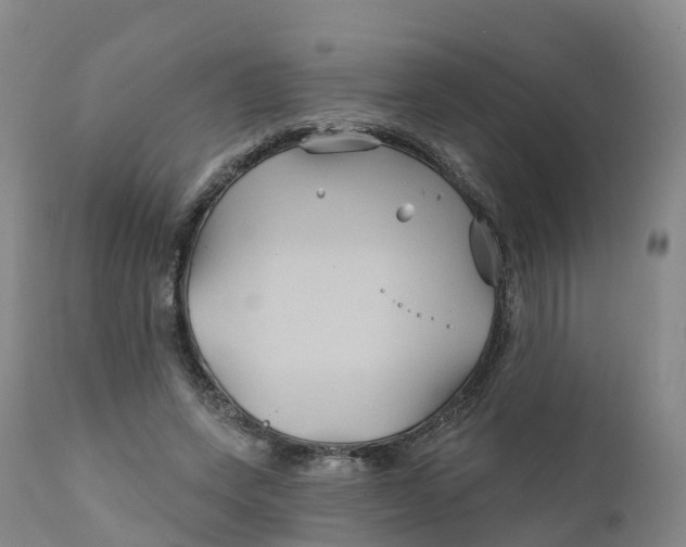 X0000111820543200908131525