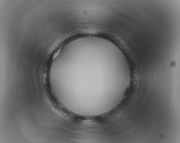 X0000111820544200908131525