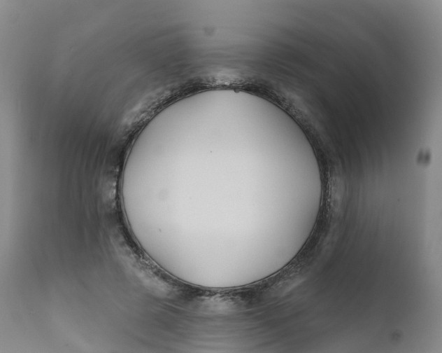 X0000111820545200908131525