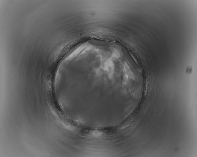 X0000111820547200908131525