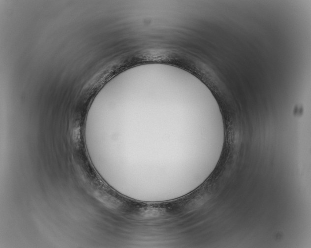 X0000111820549200908131525