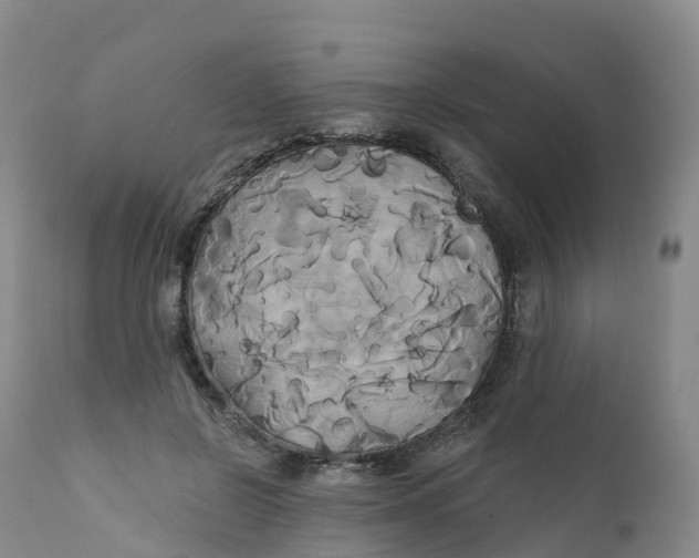 X0000111820550200908131525