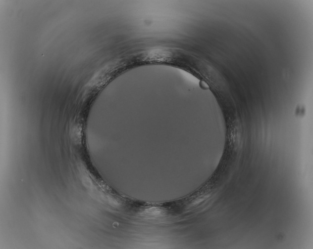 X0000111820551200908131525