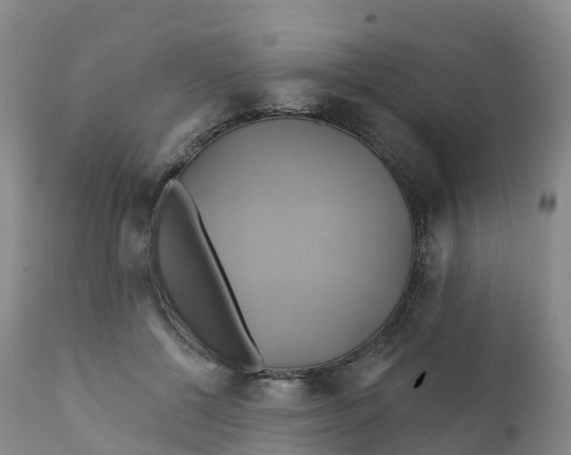 X0000111820552200908131525