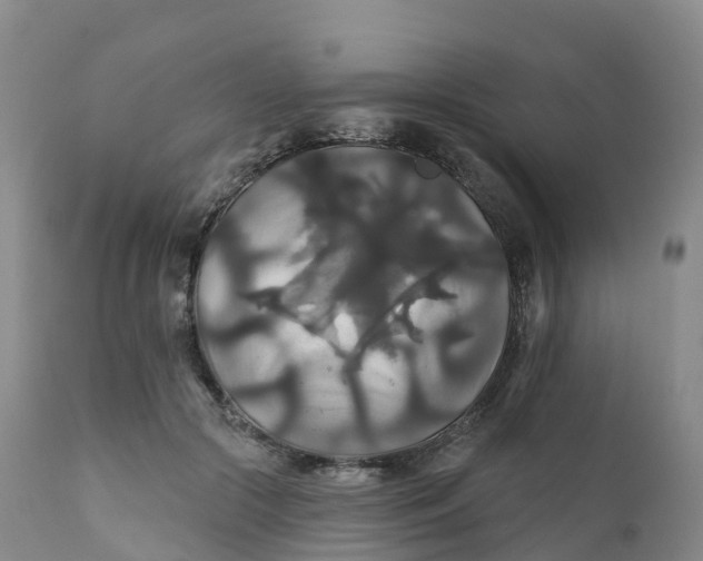 X0000111820553200908131525