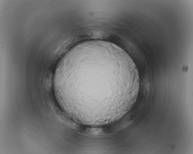 X0000111820554200908131525